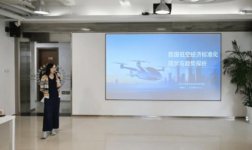 深化国际标准合作，共筑低空经济新优势——SAE与上海市质标院联合举办低空经济国际标准化技术交流活动